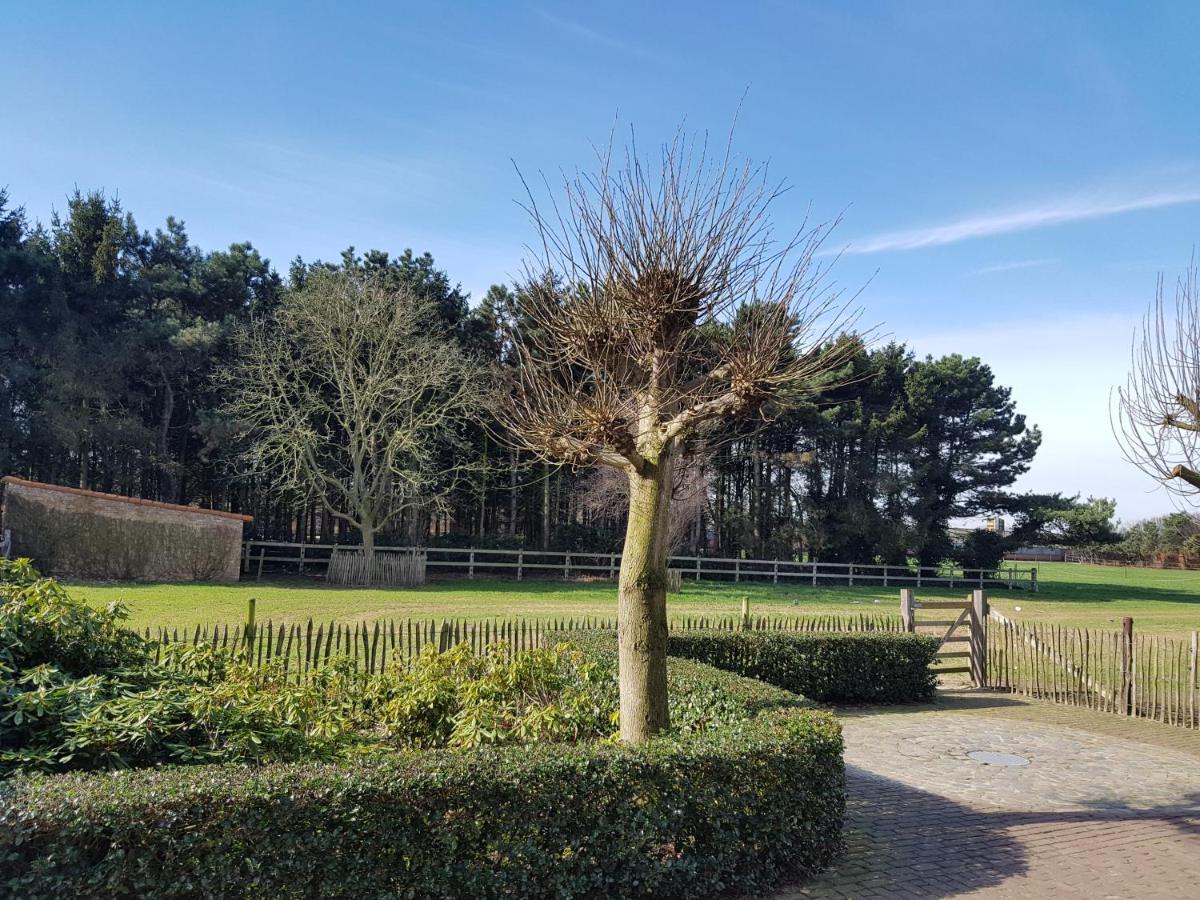 B&B Bergenhof Hoogstraten Exteriér fotografie